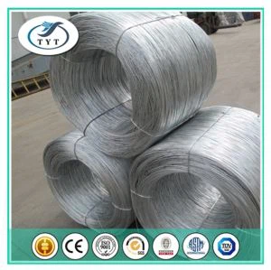 binding hay QaQ qat Sut HabmoHwI' Wire